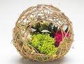 Grapevine Hanging Ball with Plants